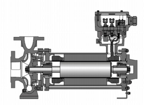 Canned Rotor Type Pump Single Stage Type 1000m3 H